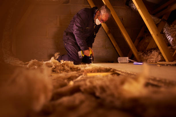 Best Cellulose Insulation in Mount Hermon, CA